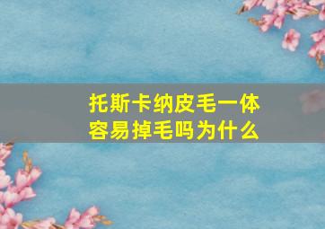 托斯卡纳皮毛一体容易掉毛吗为什么