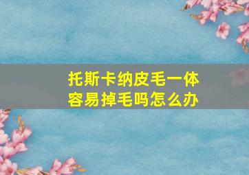 托斯卡纳皮毛一体容易掉毛吗怎么办