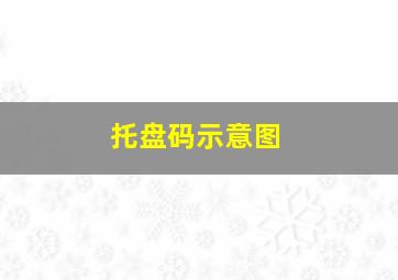 托盘码示意图