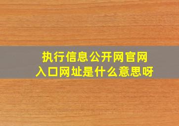 执行信息公开网官网入口网址是什么意思呀