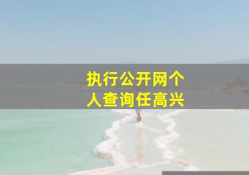 执行公开网个人查询任高兴