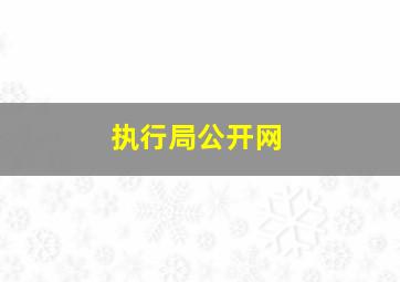 执行局公开网