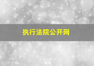 执行法院公开网