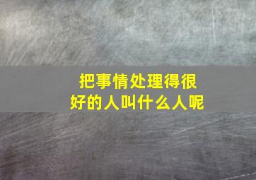 把事情处理得很好的人叫什么人呢