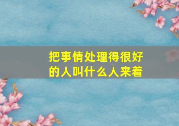 把事情处理得很好的人叫什么人来着