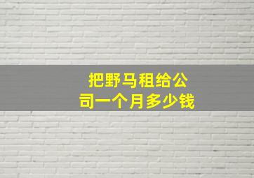 把野马租给公司一个月多少钱