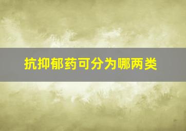 抗抑郁药可分为哪两类