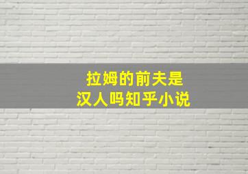 拉姆的前夫是汉人吗知乎小说