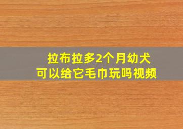 拉布拉多2个月幼犬可以给它毛巾玩吗视频