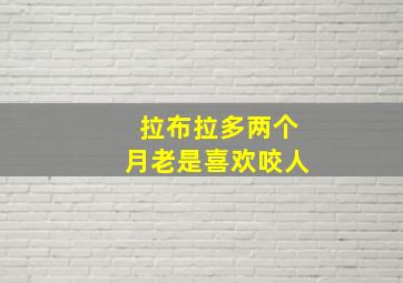 拉布拉多两个月老是喜欢咬人