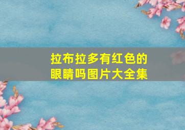 拉布拉多有红色的眼睛吗图片大全集