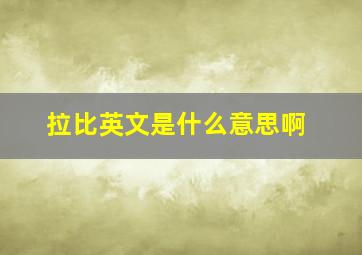 拉比英文是什么意思啊