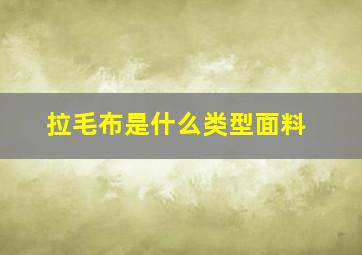 拉毛布是什么类型面料