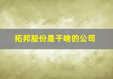 拓邦股份是干啥的公司