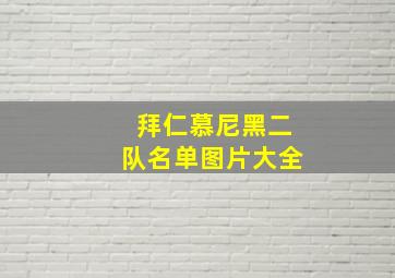 拜仁慕尼黑二队名单图片大全