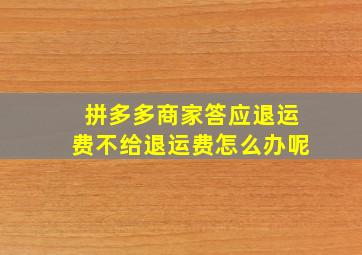 拼多多商家答应退运费不给退运费怎么办呢