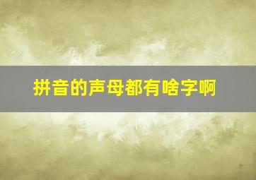 拼音的声母都有啥字啊