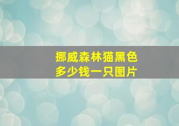 挪威森林猫黑色多少钱一只图片