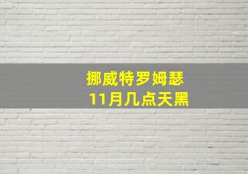 挪威特罗姆瑟11月几点天黑