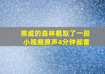 挪威的森林截取了一段小视频原声4分钟郝雷