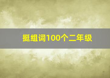 挺组词100个二年级