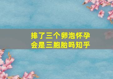 排了三个卵泡怀孕会是三胞胎吗知乎