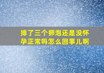 排了三个卵泡还是没怀孕正常吗怎么回事儿啊