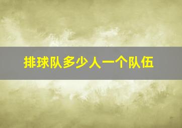 排球队多少人一个队伍