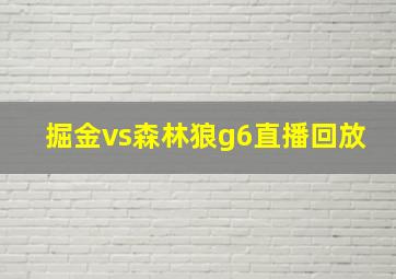 掘金vs森林狼g6直播回放