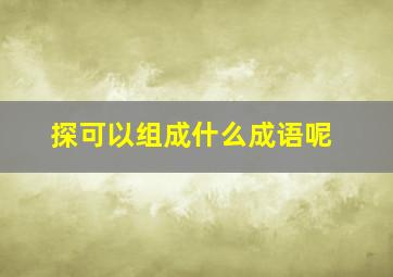 探可以组成什么成语呢