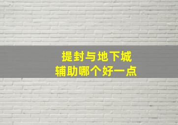 提封与地下城辅助哪个好一点