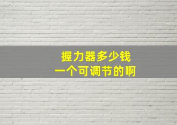 握力器多少钱一个可调节的啊