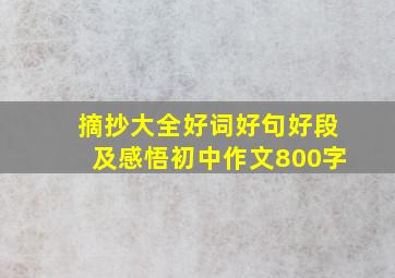 摘抄大全好词好句好段及感悟初中作文800字