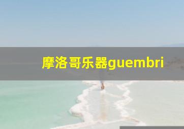 摩洛哥乐器guembri