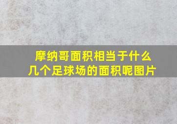 摩纳哥面积相当于什么几个足球场的面积呢图片