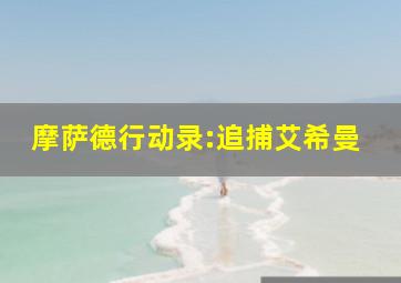 摩萨德行动录:追捕艾希曼