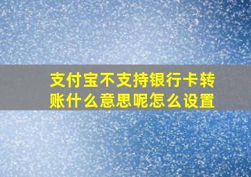 支付宝不支持银行卡转账什么意思呢怎么设置