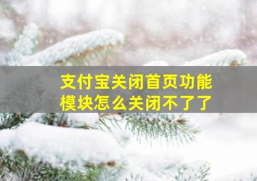 支付宝关闭首页功能模块怎么关闭不了了