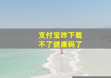 支付宝咋下载不了健康码了