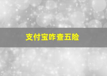 支付宝咋查五险