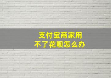 支付宝商家用不了花呗怎么办