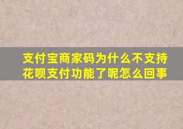 支付宝商家码为什么不支持花呗支付功能了呢怎么回事