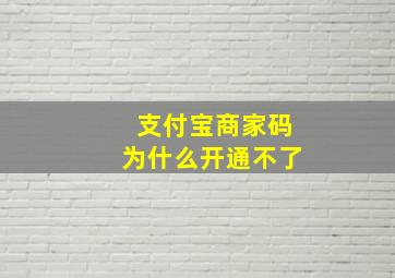 支付宝商家码为什么开通不了