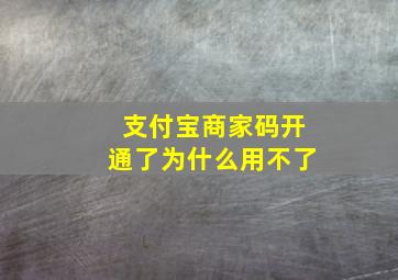 支付宝商家码开通了为什么用不了