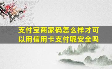 支付宝商家码怎么样才可以用信用卡支付呢安全吗