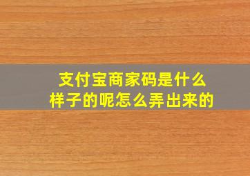 支付宝商家码是什么样子的呢怎么弄出来的