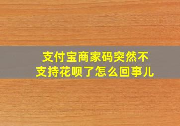 支付宝商家码突然不支持花呗了怎么回事儿