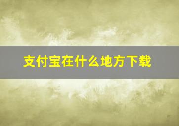 支付宝在什么地方下载