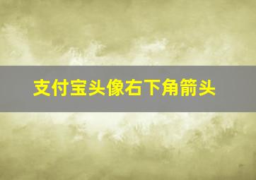 支付宝头像右下角箭头