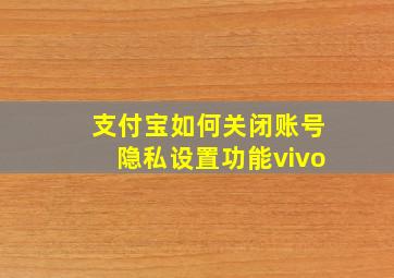 支付宝如何关闭账号隐私设置功能vivo